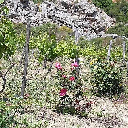 Casale Corcella Scopello (Sicily)